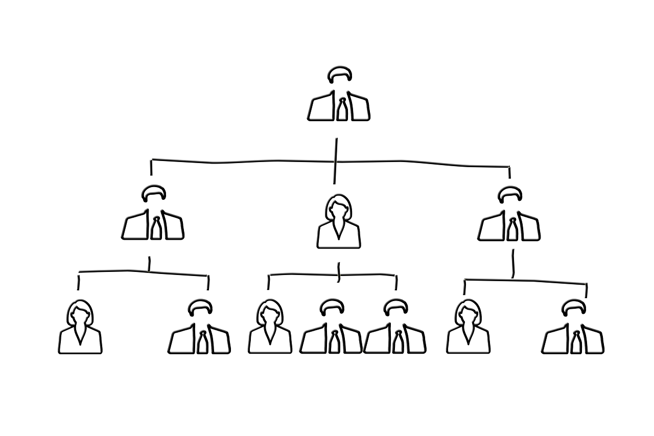 organization chart, executive, staff